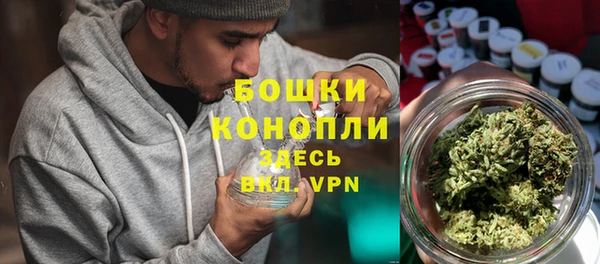 PSILOCYBIN Яблоновский