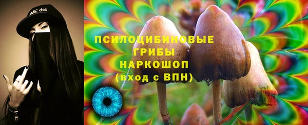 ПСИЛОЦИБИНОВЫЕ ГРИБЫ Абдулино