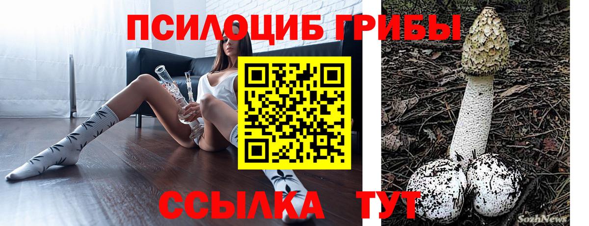 Галлюциногенные грибы MAGIC MUSHROOMS  Псилоцибиновые грибы Psilocybine cubensis  как найти закладки  Вход с VPN  Алейск 